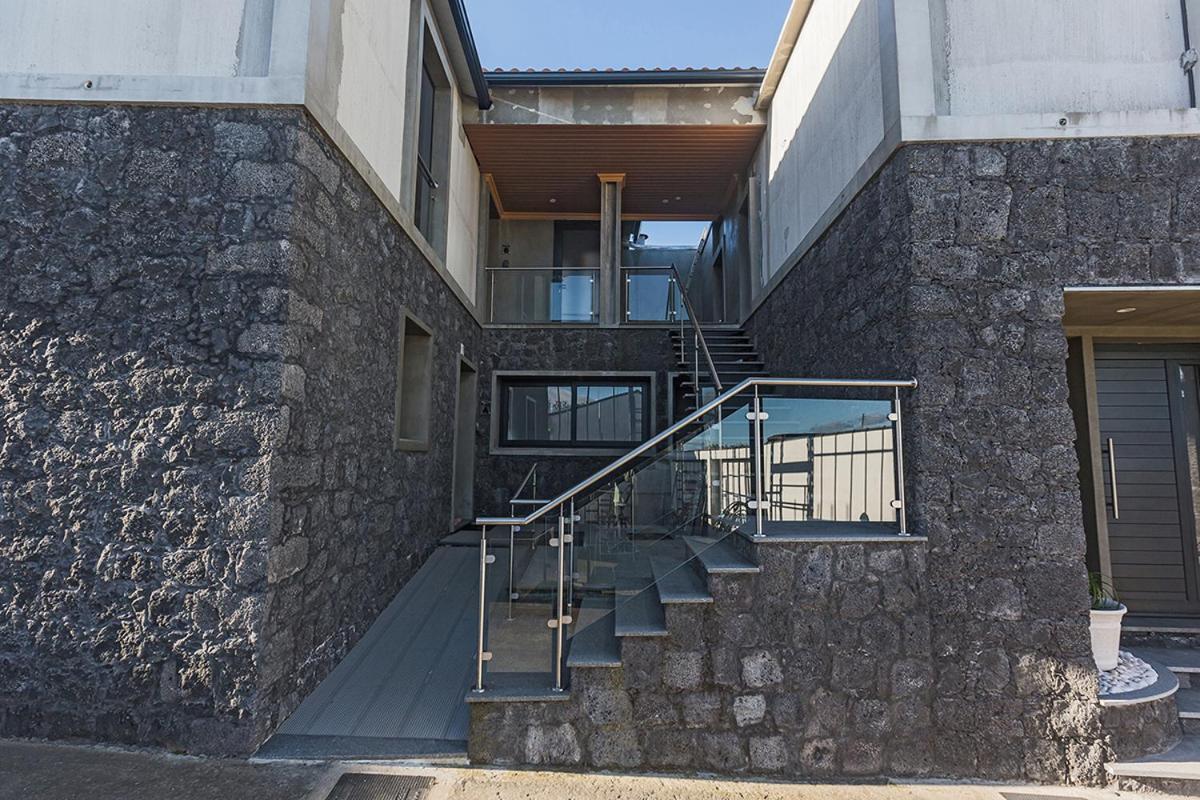Os Ninhos Dos Avos Apartment Ponta Delgada  Ngoại thất bức ảnh